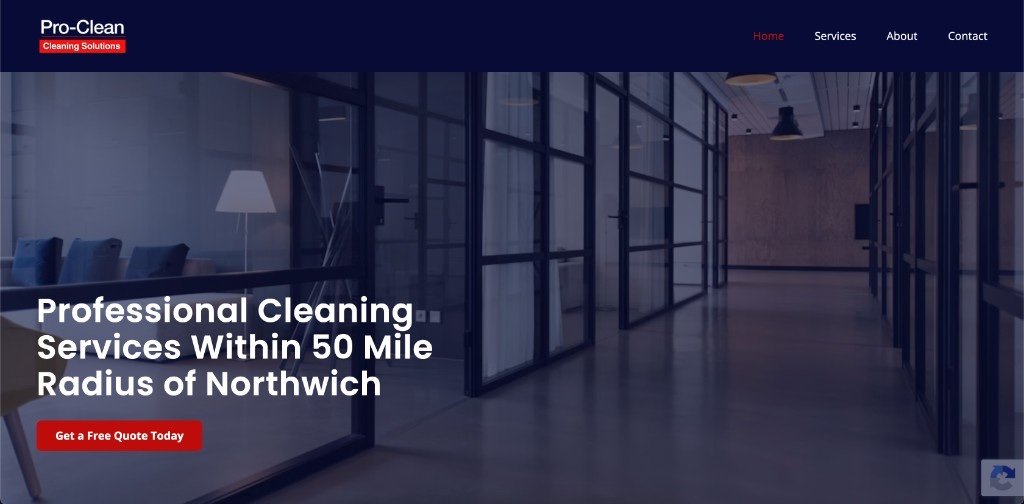 Pro-Clean website